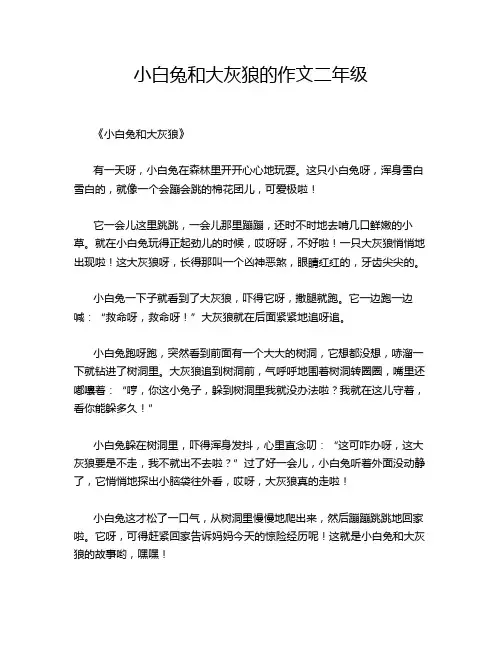 小白兔和大灰狼的作文二年级