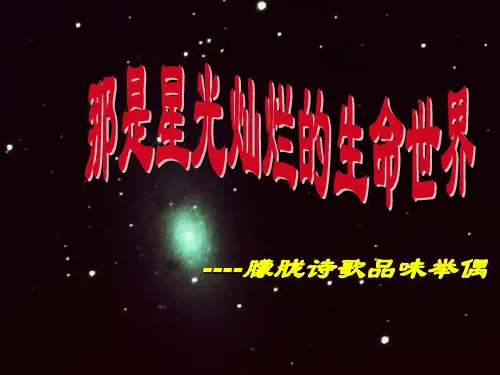 诗歌鉴赏(三)--朦胧诗