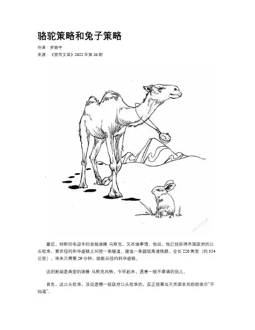 骆驼策略和兔子策略