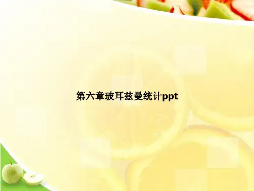 第六章玻耳兹曼统计pptppt文档