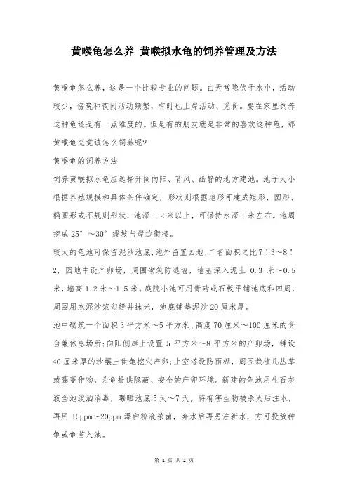 黄喉龟怎么养 黄喉拟水龟的饲养管理及方法