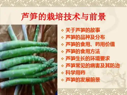 芦笋栽培技术