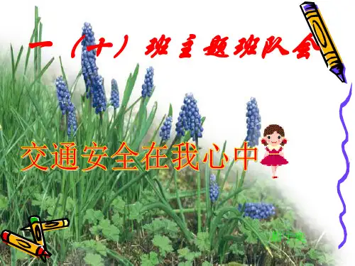 交通安全在我心中主题班会PPT课件
