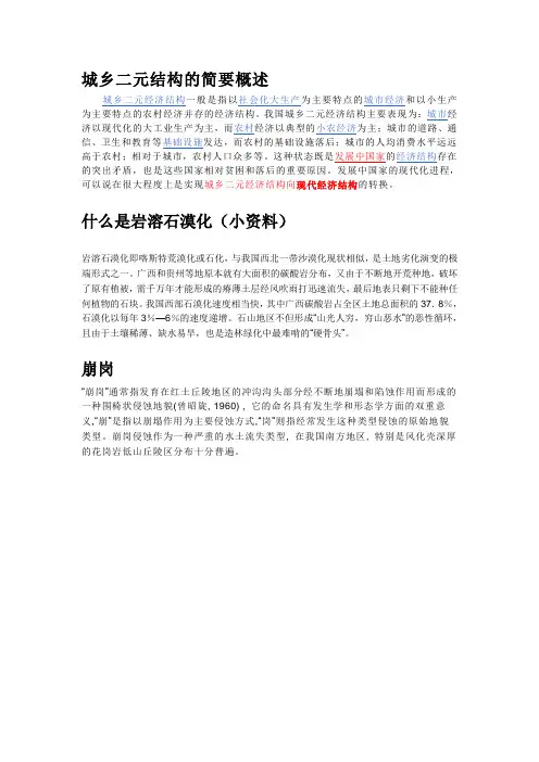 就2010年中央一号文件名词解读