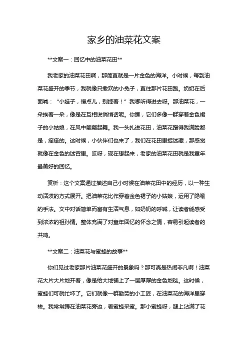 家乡的油菜花文案