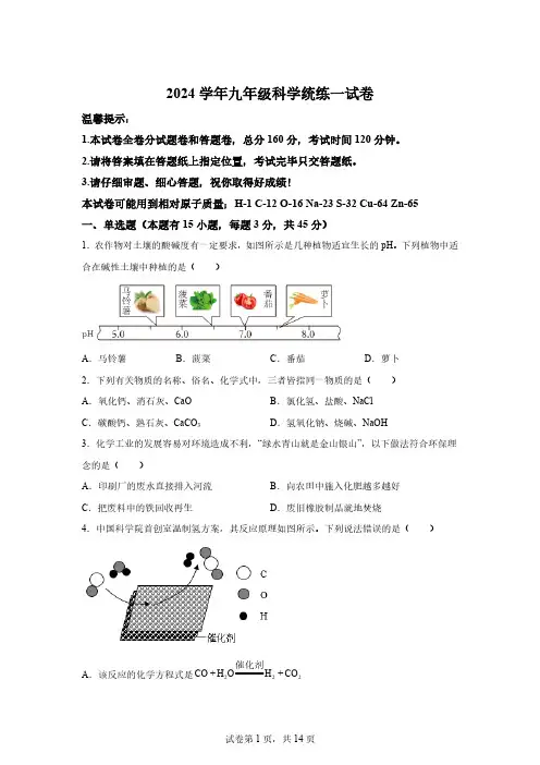 浙江省台州市临海市学海中学2024-2025学年九年级上学期9月月考科学试题[含答案]