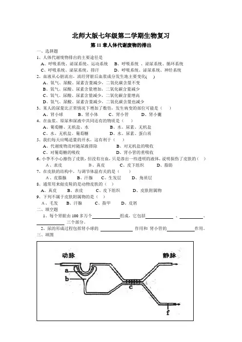 生物七年级下册第11章复习题