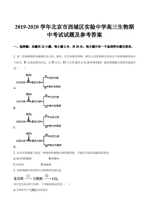 2019-2020学年北京市西城区实验中学高三生物期中考试试题及参考答案