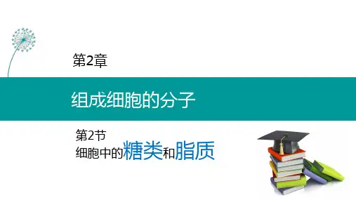 人教版新课程高中生物课件必修一2.3 细胞中的糖类和脂质(精品课件)