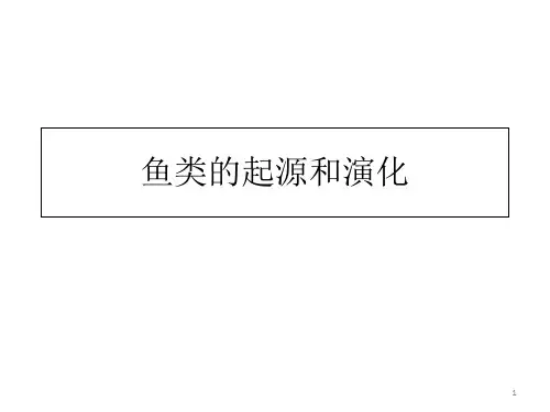 鱼类的起源和演化ppt课件