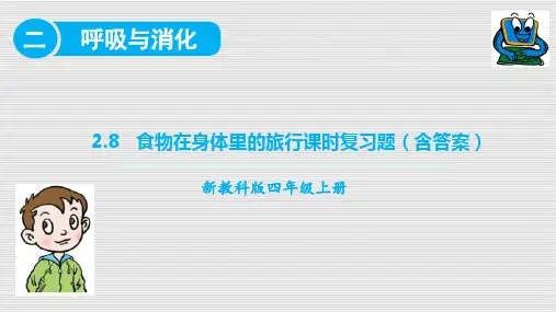 2020新教科版四年级科学上册2.8食物在身体里的旅行课时练习题(含答案)