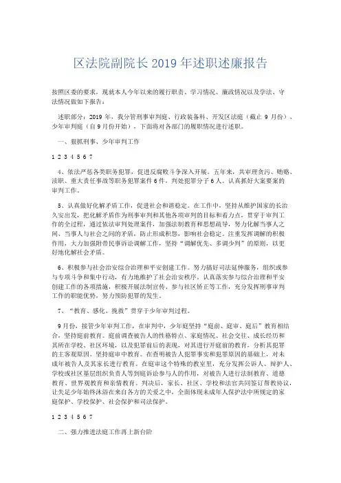 总结报告-区法院副院长2019年述职述廉报告 精品001