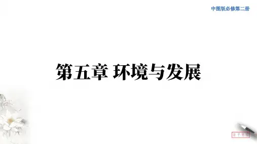高中地理必修二 第5章第3节 中国国家发展战略举例(第二课时)课件
