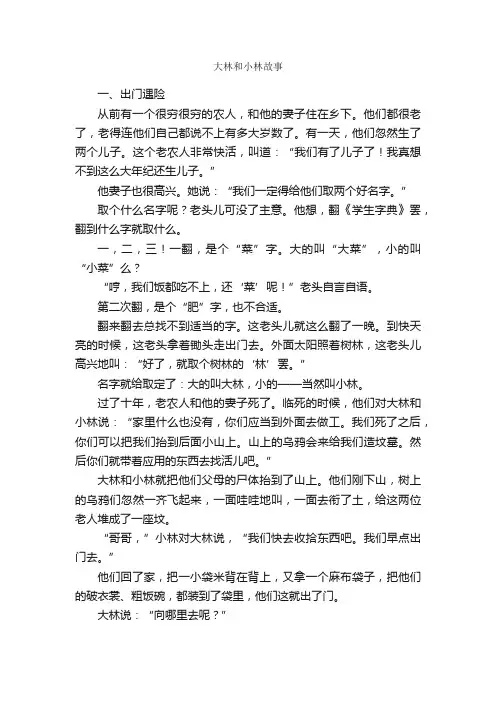 大林和小林故事