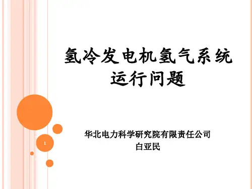 发电机氢气系统的运行问题