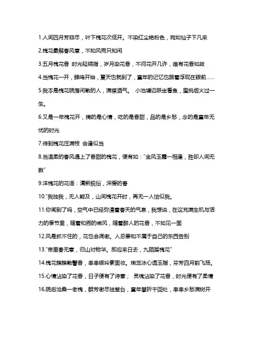 槐花飘香的唯美句子