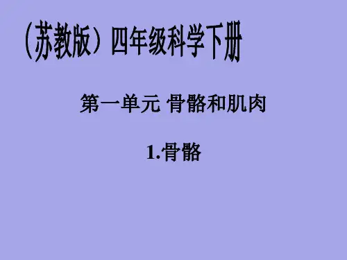 苏教版小学四年级下册科学全册课件