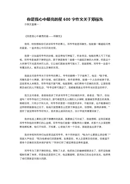 你是我心中最亮的星600字作文关于邓稼先
