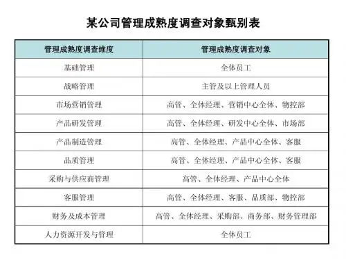 某公司管理成熟度调查系列表格