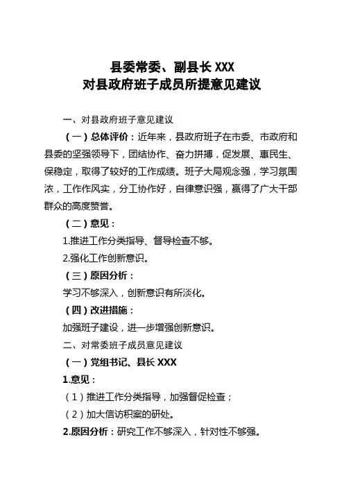 副县长对常委班子及个人的意见
