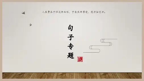 小升初复习之句子专题(课件)部编版语文六年级下册