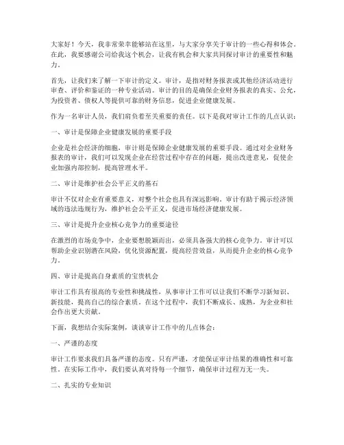审计精彩演讲稿范文