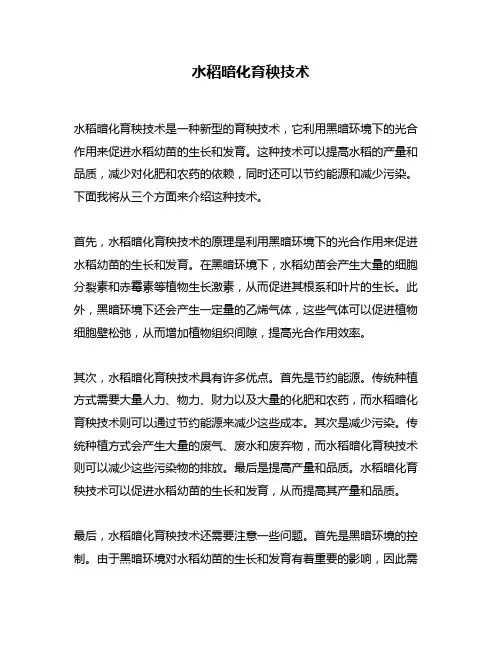 水稻暗化育秧技术