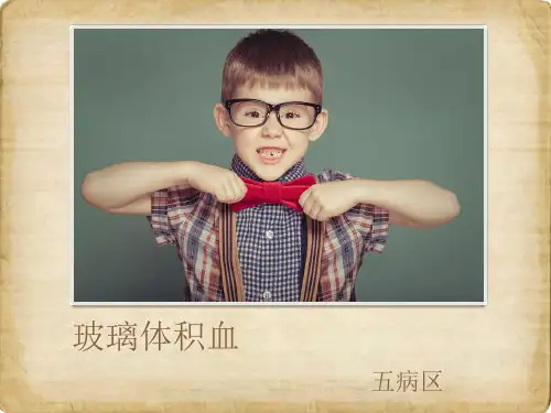 玻璃体积血护理查房