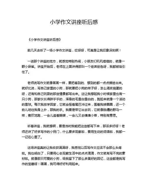 小学作文讲座听后感