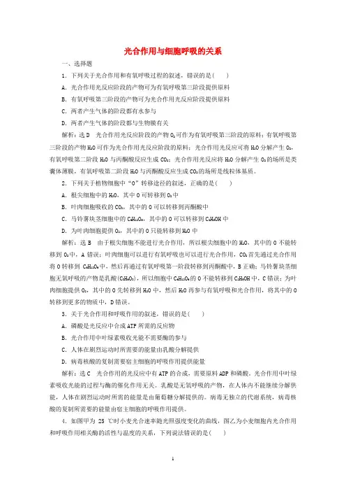 2022高考新人教版生物一轮复习—光合作用与细胞呼吸的关系含解析
