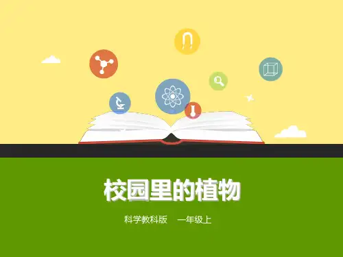 教科版科学一年级上册第一单元第六课《校园里的植物》(课件)