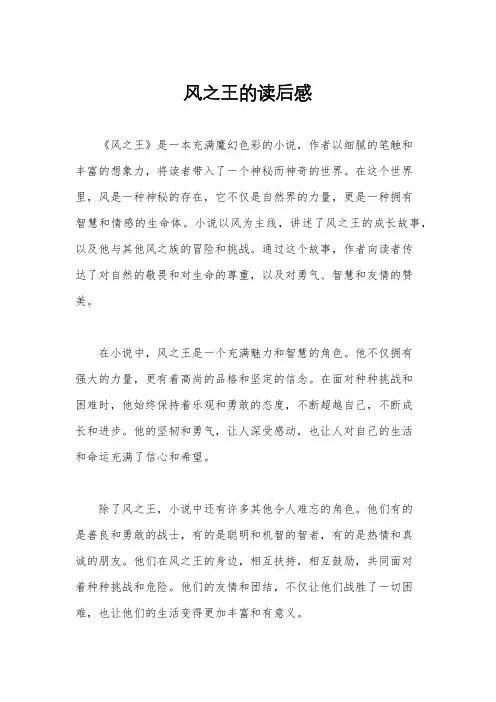 风之王的读后感