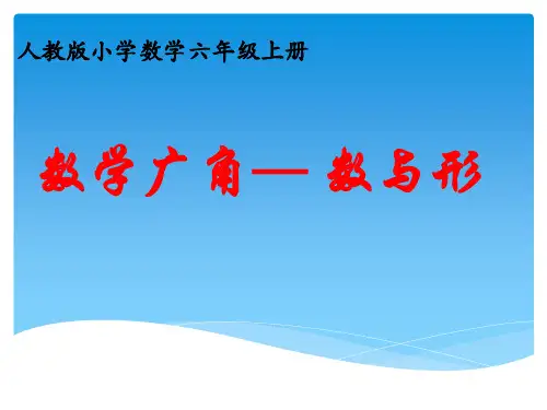六年级上册数学广角――数与形--PPT课件