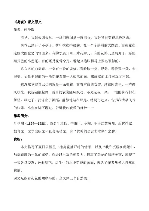荷花三年级下册课文语文