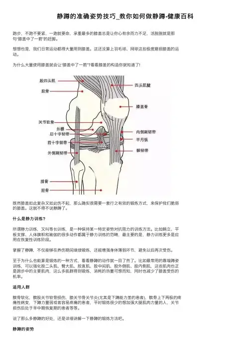 静蹲的准确姿势技巧_教你如何做静蹲-健康百科