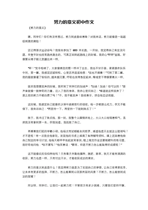 努力的意义初中作文