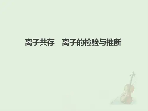 高考化学一轮复习专题课件：离子共存 离子的检验与推断