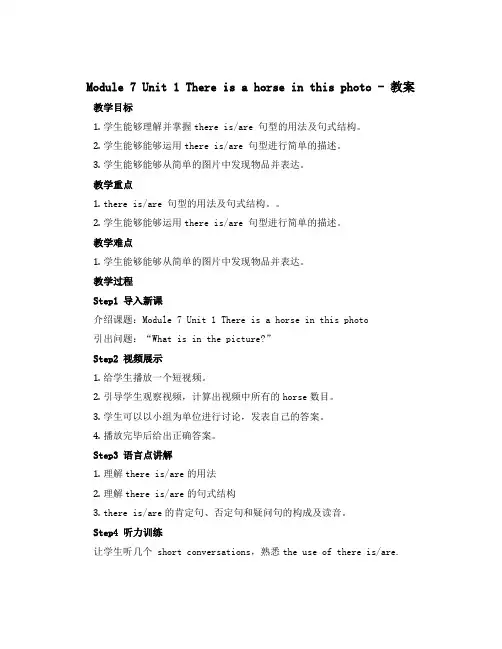 Module 7 Unit 1 There is a horse in this photo(教案)