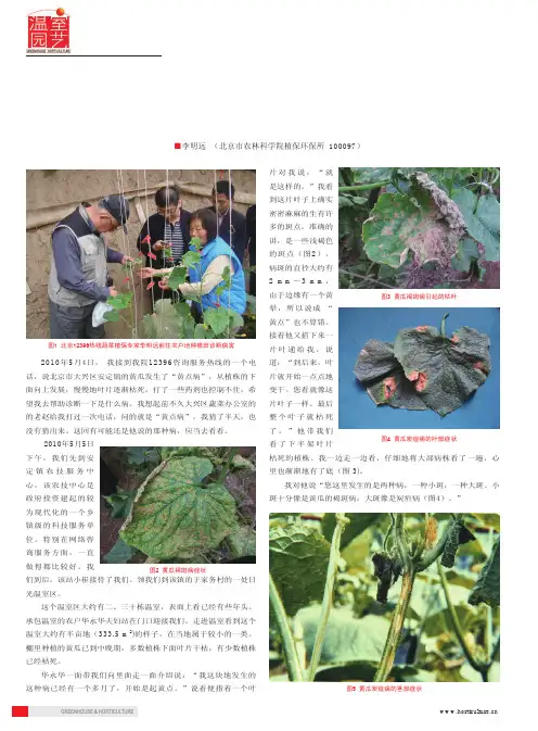 黄瓜的小斑(靶斑病)与大斑(炭疽病)
