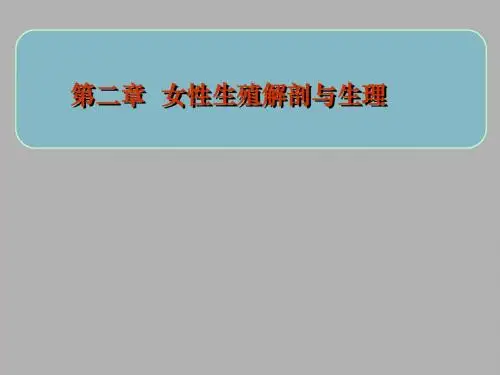 第二章 女性生殖解剖与生理课件