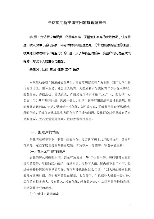 走访慰问新宁镇贫困家庭调研报告