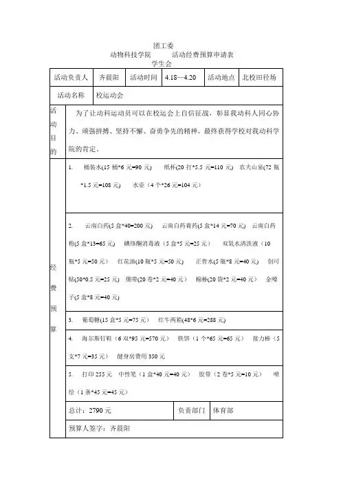 校运会活动经费预算表3
