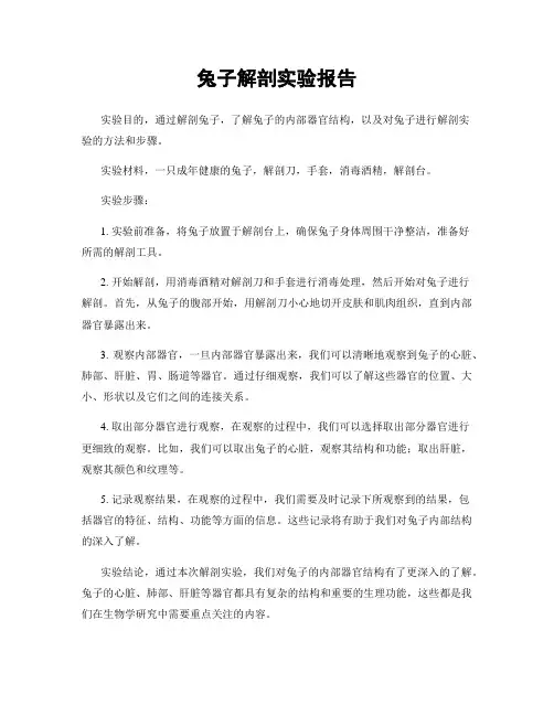兔子解剖实验报告