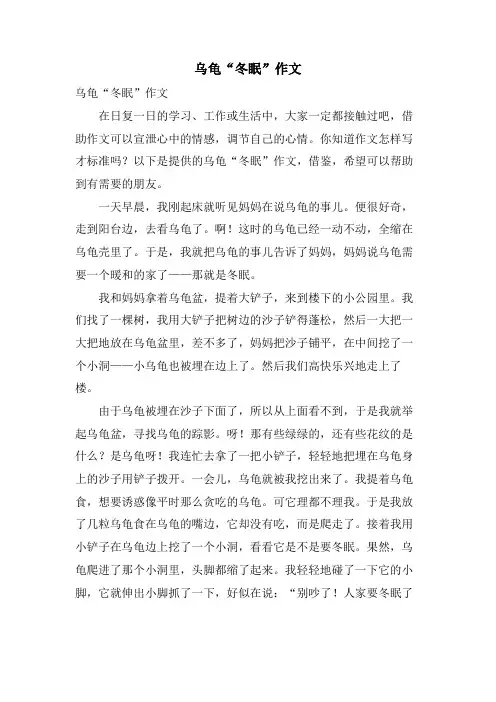 乌龟“冬眠”作文