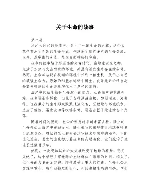 关于生命的故事