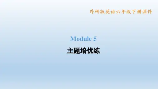 2023春外研版六年级英语下册 典中点  Module 5 习题课件