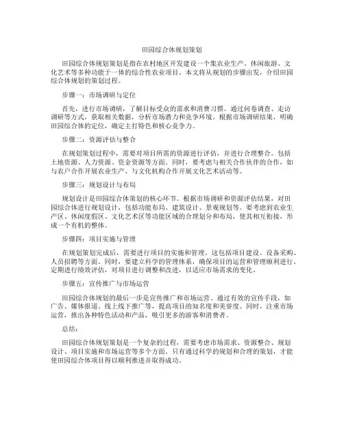 田园综合体规划策划
