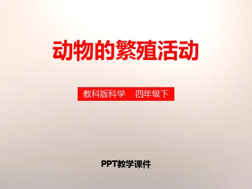 2动物的繁殖活动PPT课件