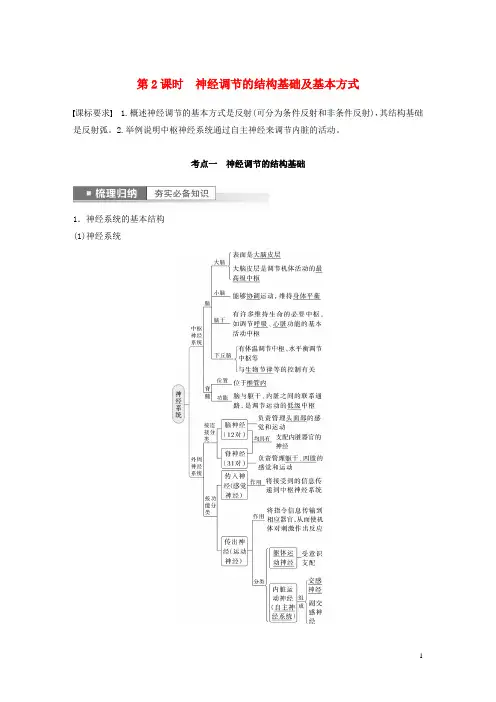新高考2023届高考生物一轮复习讲义第8单元第2课时神经调节的结构基础及基本方式新人教版