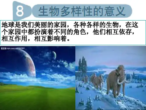 教科版科学六年级上册《生物多样性的意义》PPT.
